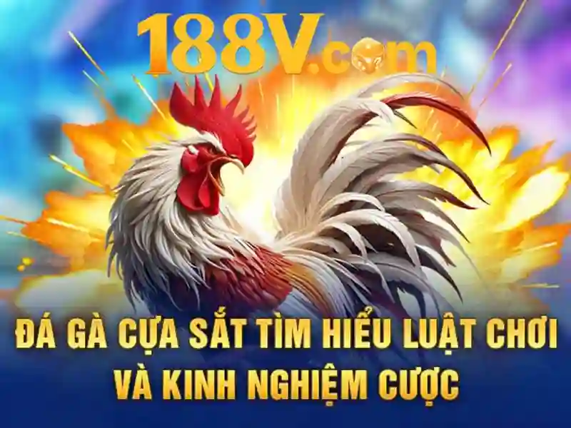 Ưu thế và sức cạnh tranh