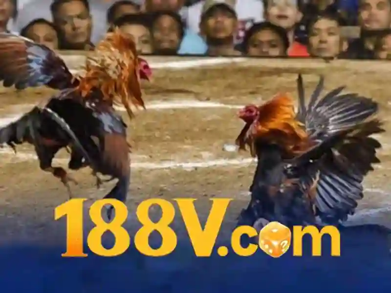 Mẹo chơi bắn cá 3 cây dễ ăn tiền nhà cái