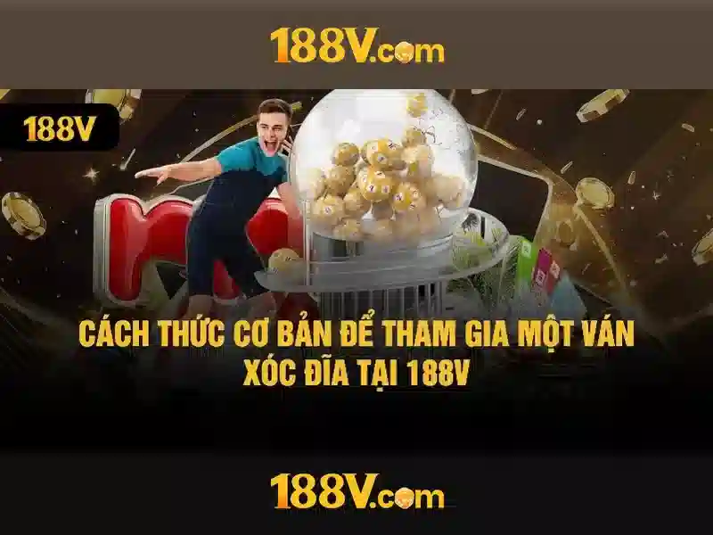 Trải nghiệm người dùng và phản hồi cộng đồng