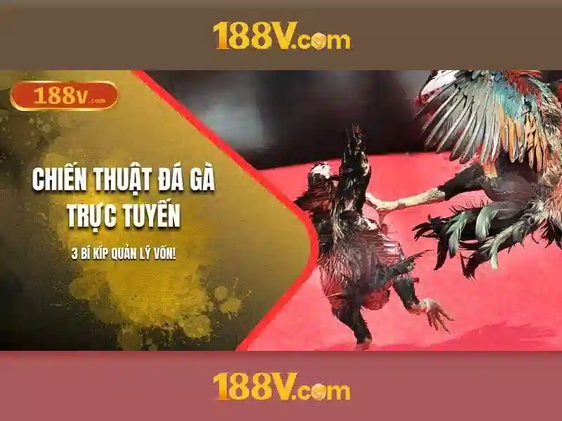 Tổng quan chủ đề và giá trị cốt lõi của 188v bet