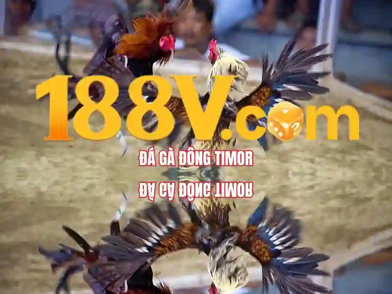 sản phẩm và dịch vụ chính của nổ hũ 188v